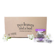 Organic Jasmine Petal Green Tea (100 Sachets)