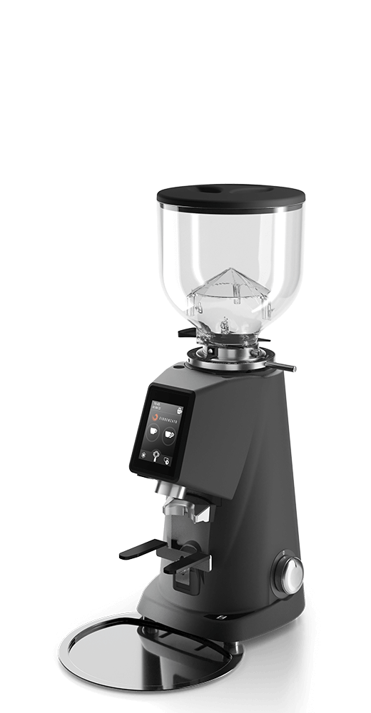 Espresso Grinder: Fiorenzato F4 EVO On-Demand (low volume clients)