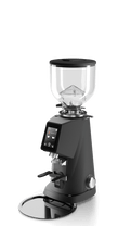 Espresso Grinder: Fiorenzato F4 EVO On-Demand (low volume clients)
