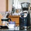 Coffee Grinder: Baratza Virtuoso+