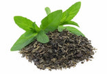 Organic Tropical Green (100 Sachets)