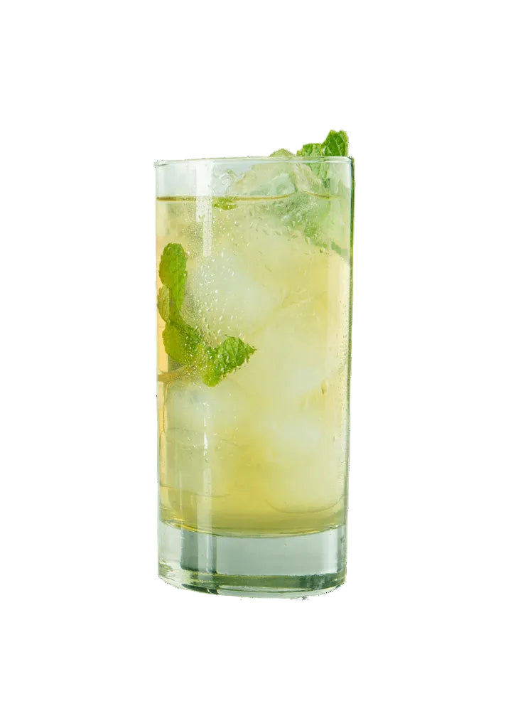 Two Leaves and a Bud Organic Tropical Green Iced Tea - 1oz sachets